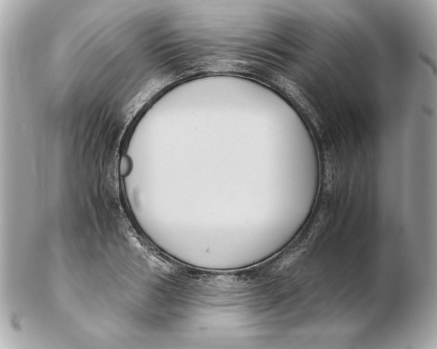 X0000102470986200808291600