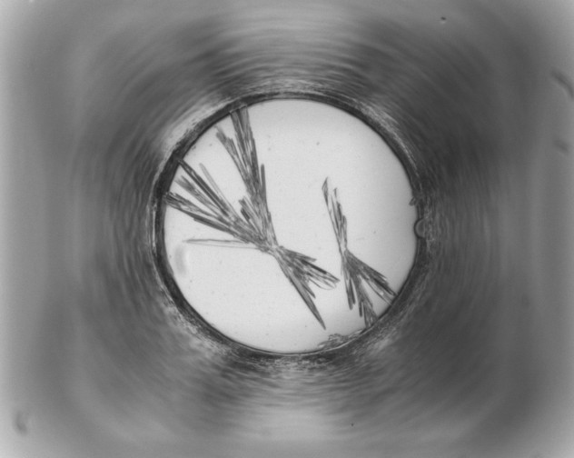 X0000102470987200808291600
