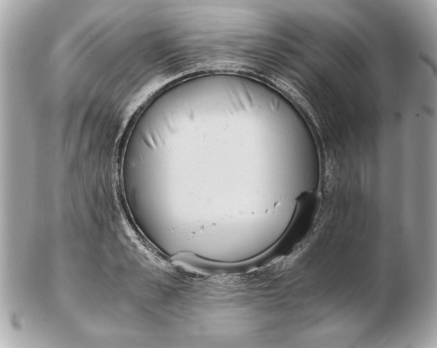 X0000102470989200808291600