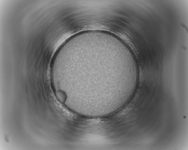 X0000102470990200808291600