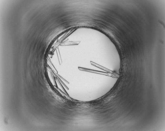 X0000102470991200808291600