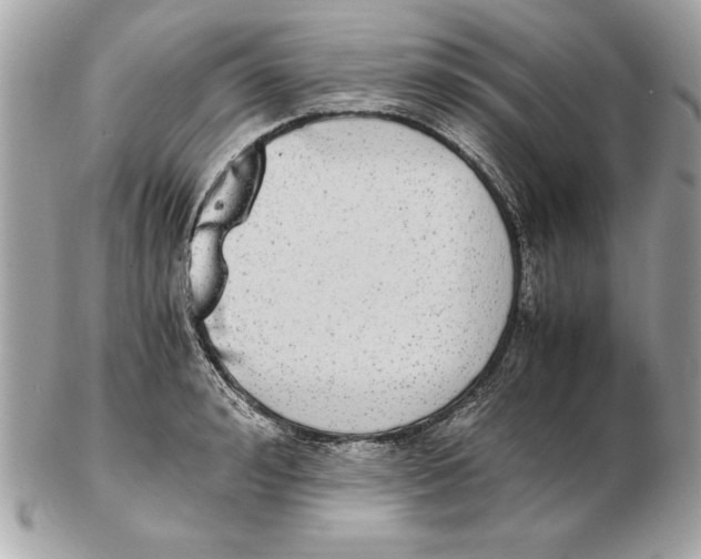 X0000102470992200808291600