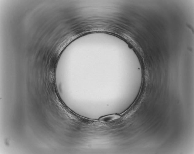 X0000102470993200808291600