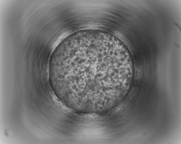X0000102470994200808291600