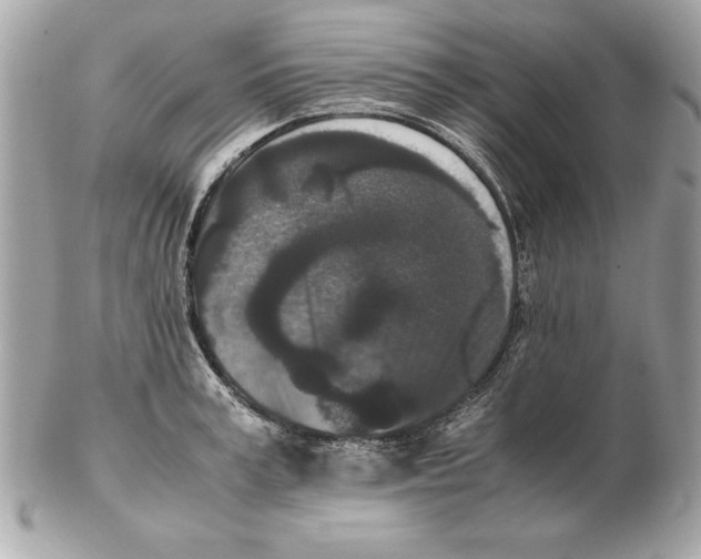 X0000102470995200808291600