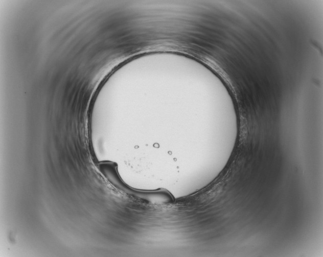 X0000102470996200808291600