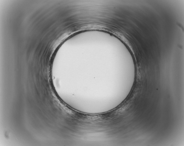 X0000102470997200808291600