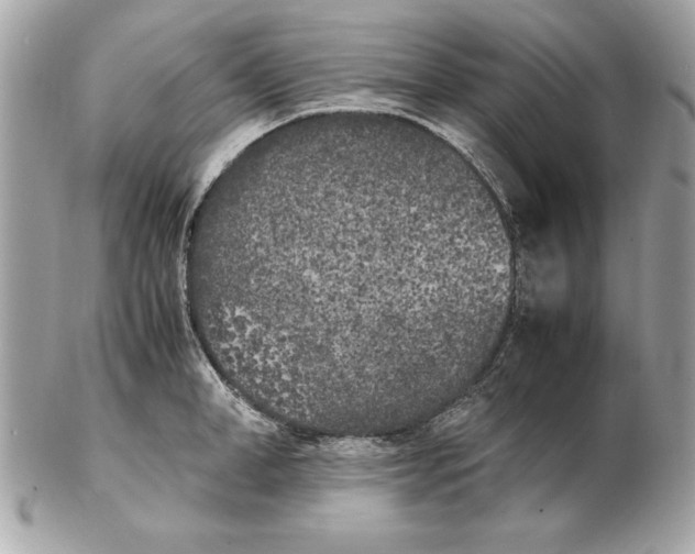 X0000102470998200808291600