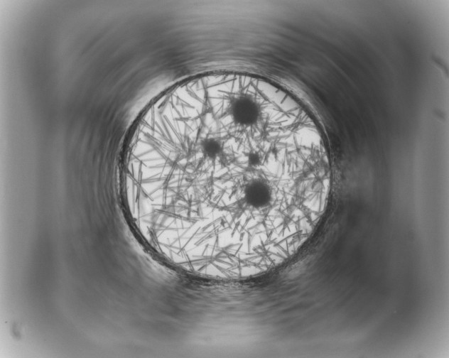 X0000102470999200808291600