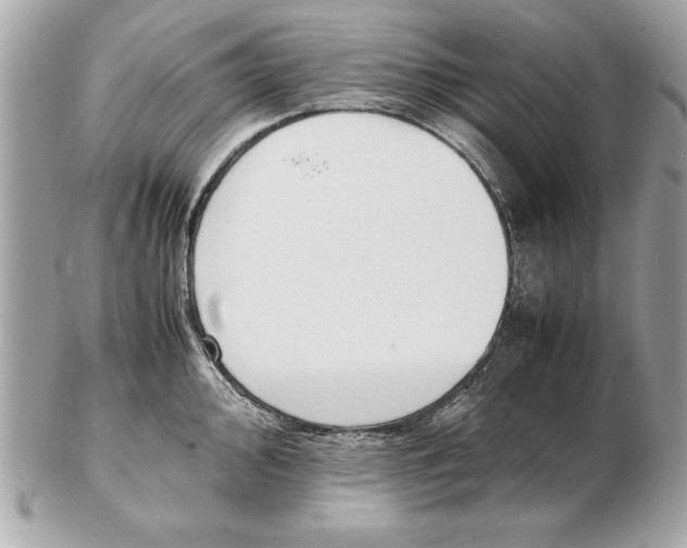 X0000102471000200808291600