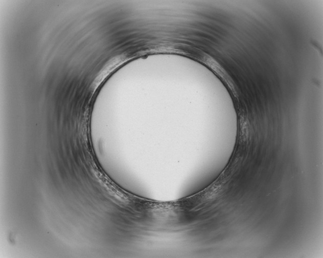X0000102471002200808291600