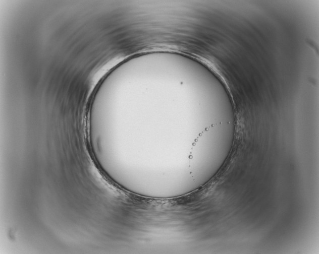 X0000102471003200808291600