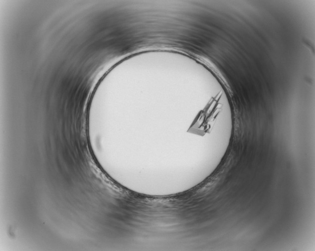 X0000102471004200808291600