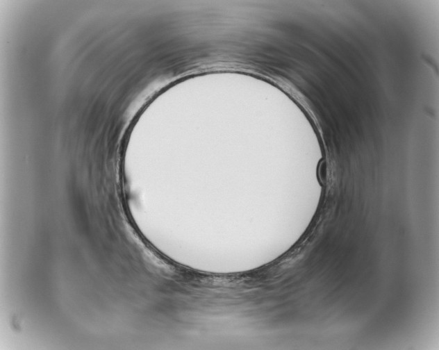 X0000102471005200808291600