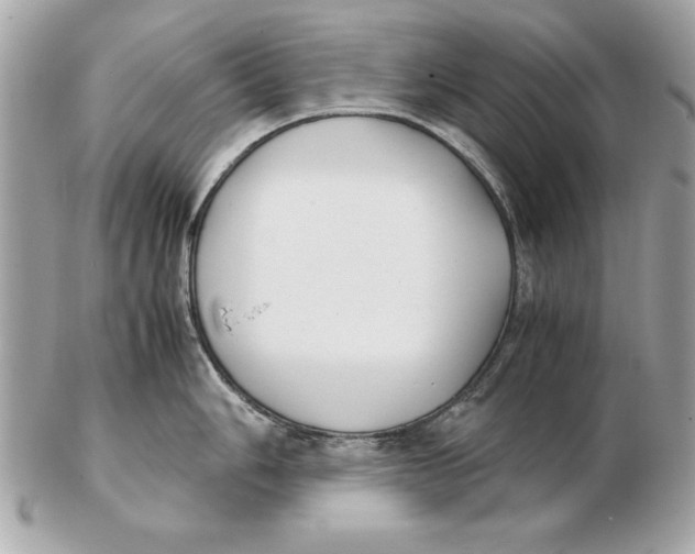 X0000102471006200808291600