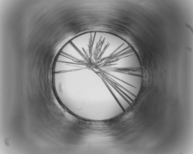 X0000102471007200808291600