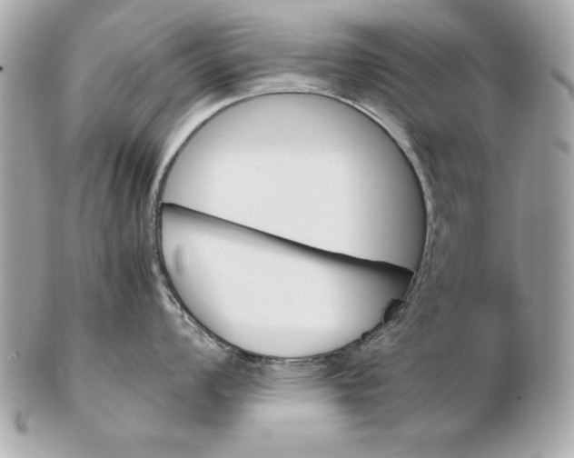 X0000102471008200808291600