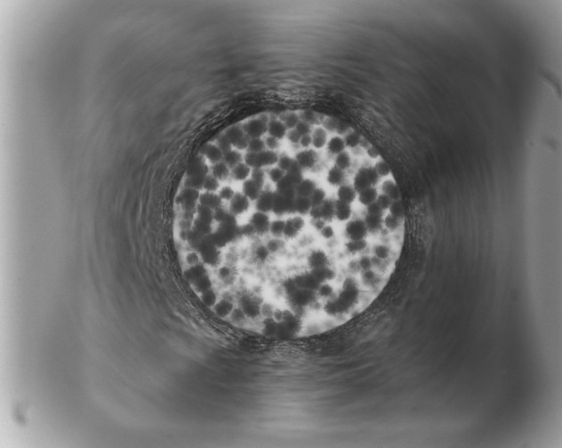 X0000102471009200808291559