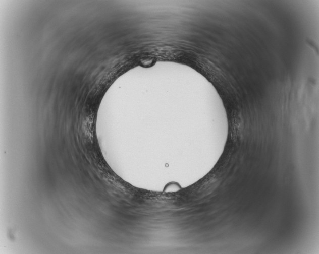 X0000102471010200808291559