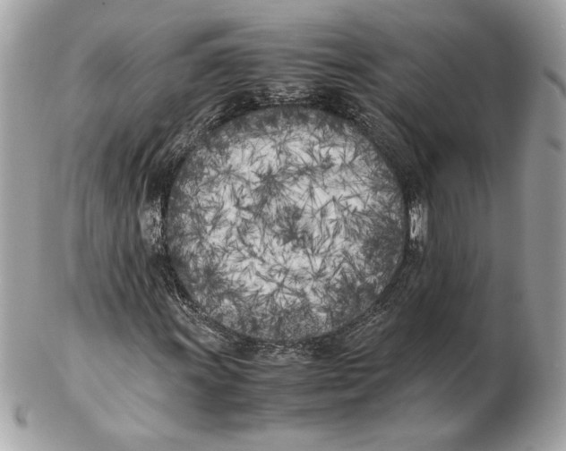 X0000102471011200808291559