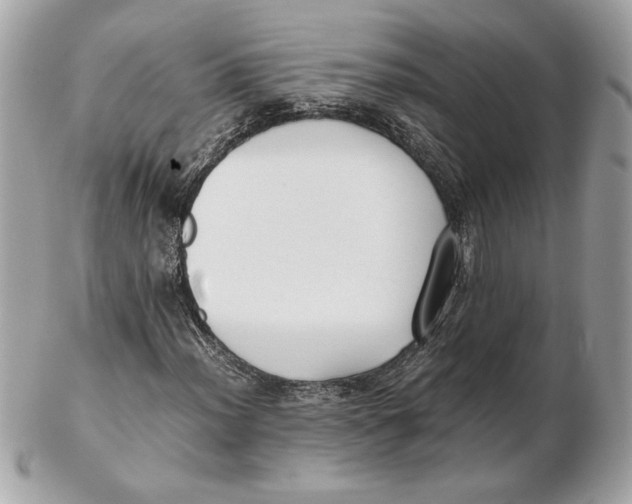 X0000102471012200808291559
