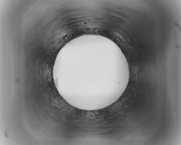 X0000102471013200808291559