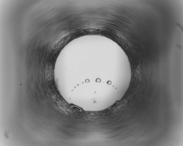 X0000102471014200808291559