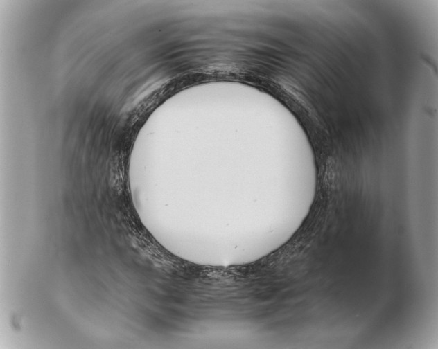 X0000102471015200808291559