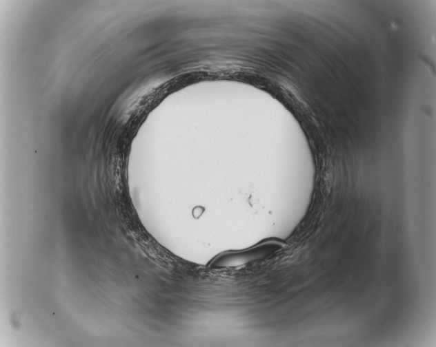 X0000102471016200808291559