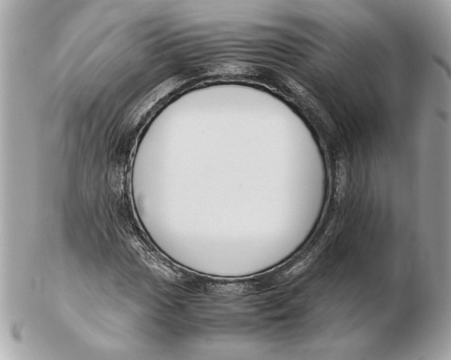 X0000102471017200808291559