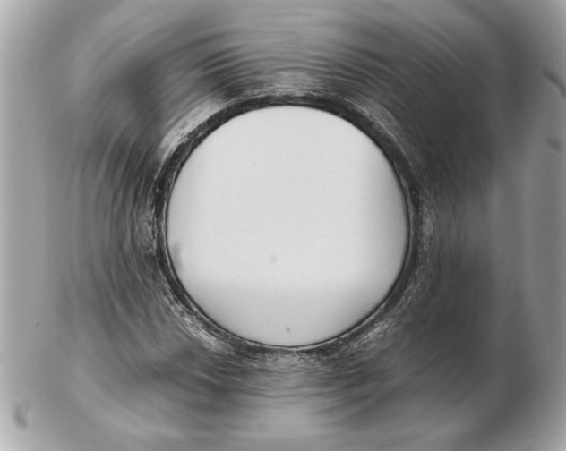 X0000102471018200808291559