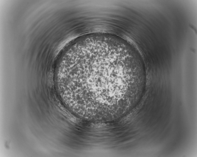 X0000102471019200808291559