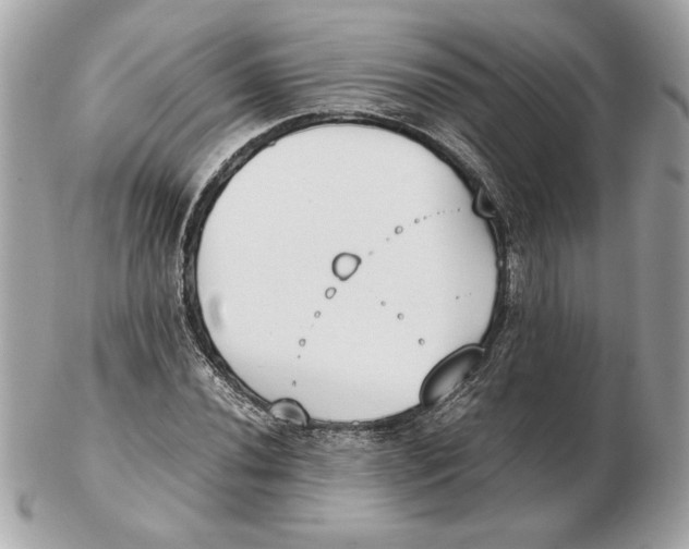 X0000102471020200808291559