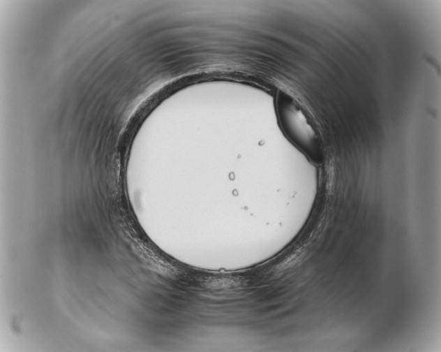 X0000102471021200808291559