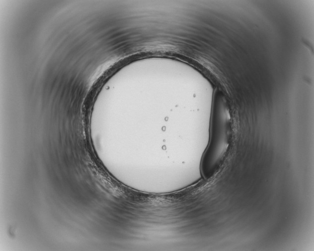 X0000102471022200808291559