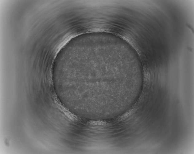 X0000102471023200808291559