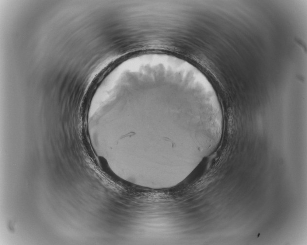 X0000102471024200808291559