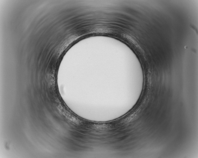 X0000102471025200808291559