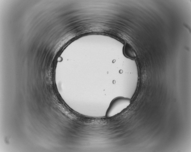 X0000102471026200808291559
