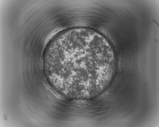 X0000102471027200808291559
