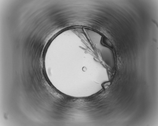 X0000102471028200808291559