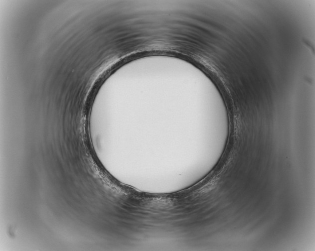 X0000102471029200808291559