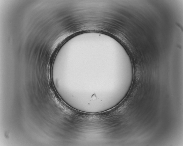 X0000102471030200808291559