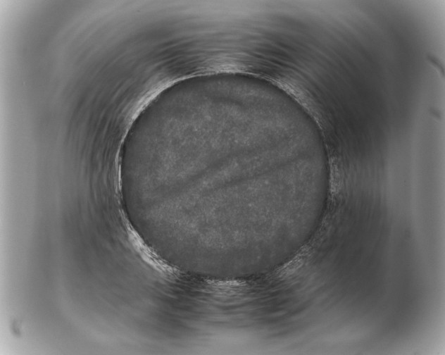 X0000102471031200808291559