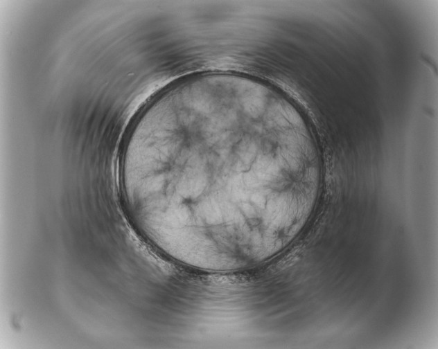 X0000102471032200808291559