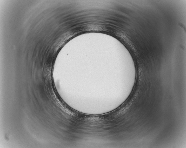 X0000102471033200808291559