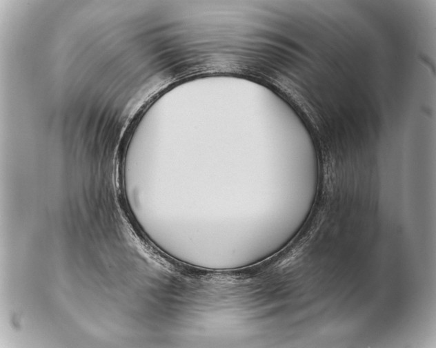 X0000102471034200808291559