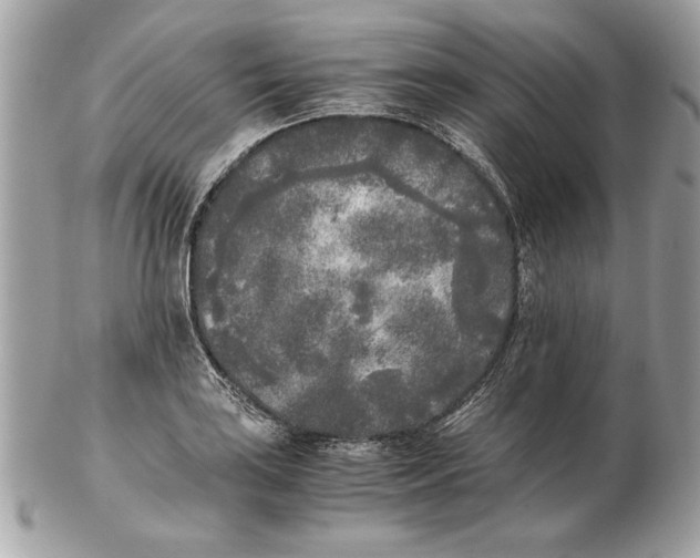 X0000102471035200808291559
