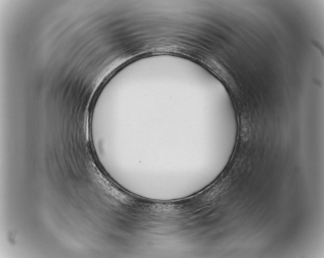 X0000102471036200808291559