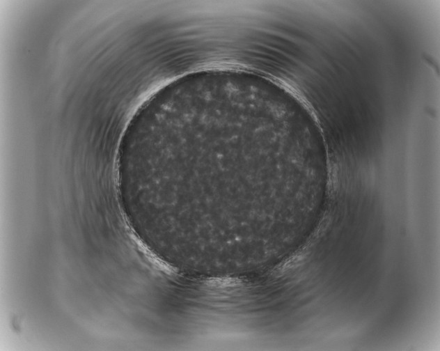 X0000102471037200808291559